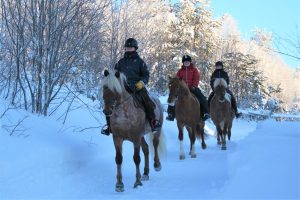 Maastoratsastusta suomenhevosilla Ruska Laukan tallilla Ruka-Kuusamossa