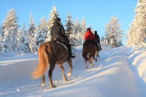 Maastoratsastusta suomenhevosilla Ruska Laukan tallilla Ruka-Kuusamossa