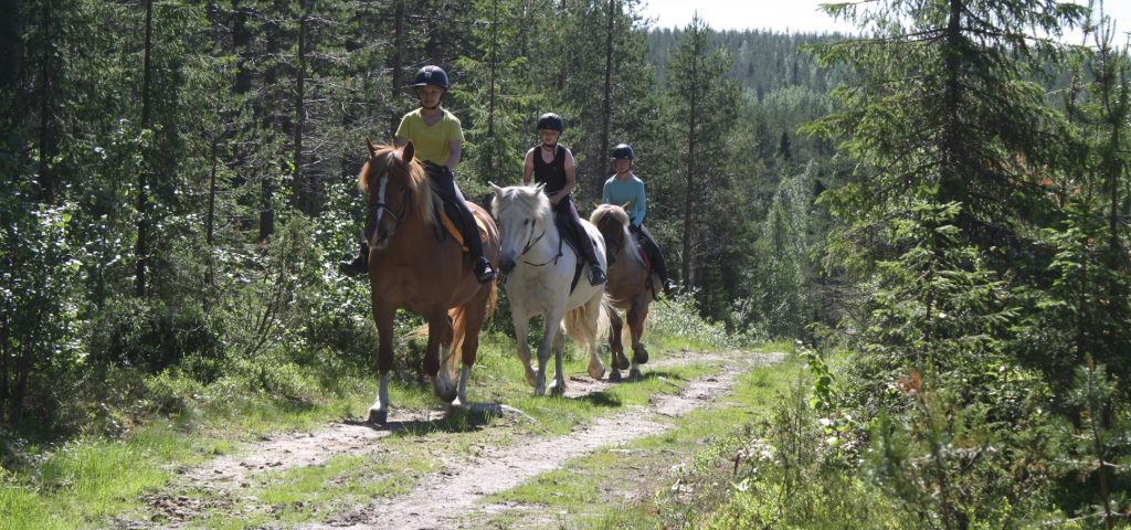 Ruska Laukka talli, Maastoratsastusta Ruska Laukan tallilla Ruka-Kuusamossa