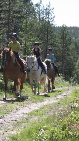 Ruska Laukka talli, Maastoratsastusta Ruska Laukan tallilla Ruka-Kuusamossa