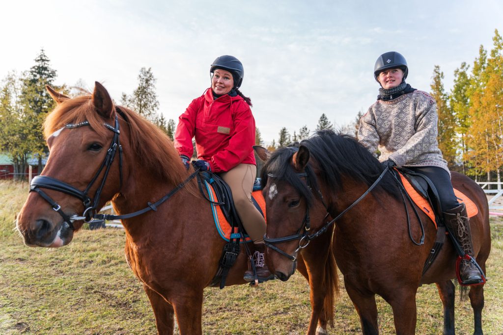 Private Finnhorse Tour in Ruka-Kuusamo