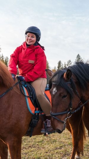 Yksityinen suomenhevosretki Ronivaarassa (2h)