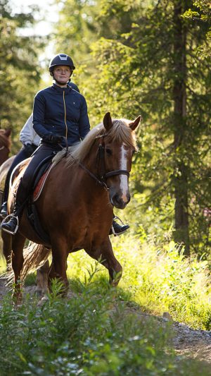 Maastoretki kokeneemmille suomenhevosilla