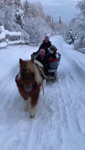 Sosiaalipedagoginen hevostoiminta Ruska Laukan tallilla Ruka-Kuusamossa