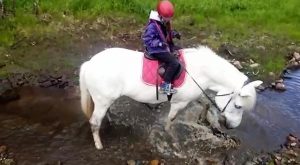 Maastoratsastusta Ruska Laukan tallilla Ruka-Kuusamossa