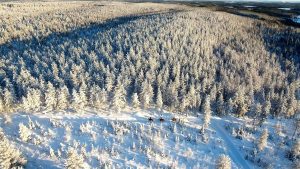 Maastoratsastusta suomenhevosilla Ruska Laukan tallilla lintuperspektiivistä katsottuna Ruka-Kuusamossa