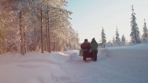 Ruska Laukan tallilla rekiajelua suomenhevosilla Ruka-Kuusamossa