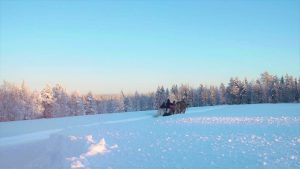 Ruska Laukan tallilla rekiajelua suomenhevosilla Ruka-Kuusamossa