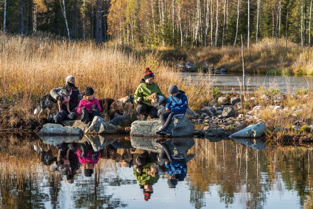 Sosiaalipedagoginen koira-avusteinen toiminta Ruska Laukan tallilla Ruka-Kuusamossa