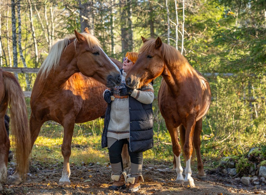Matka suomenhevosen maailmaan - elekieli ja vuorovaikutus