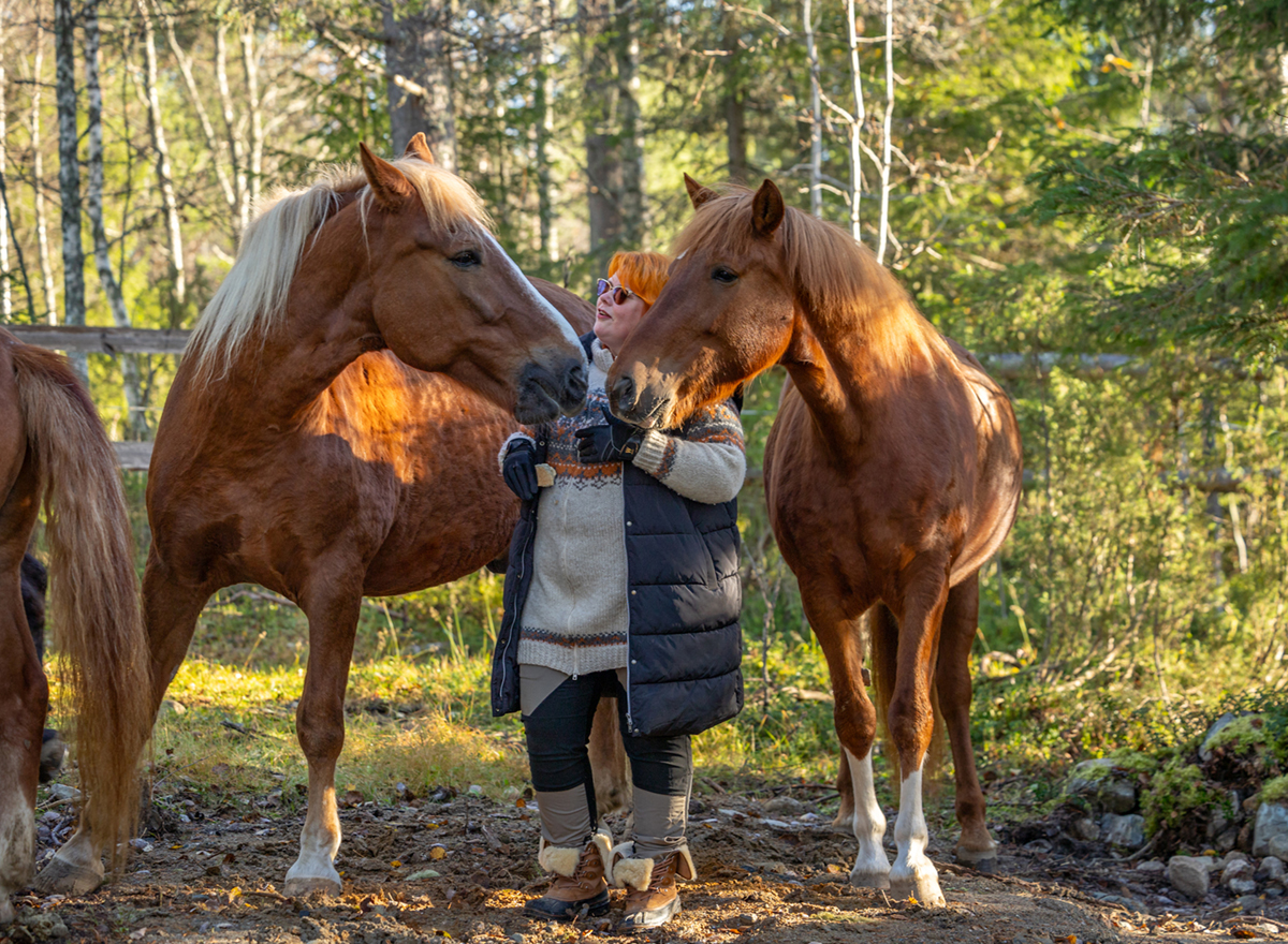 Matka suomenhevosen maailmaan –  elekieli ja vuorovaikutus