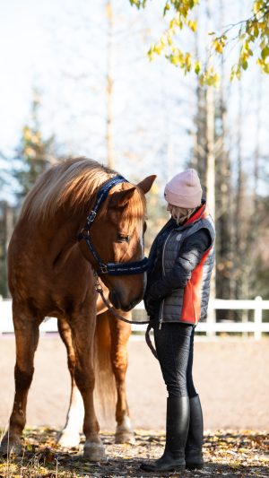 Private horsemanship lesson with Finnhorses