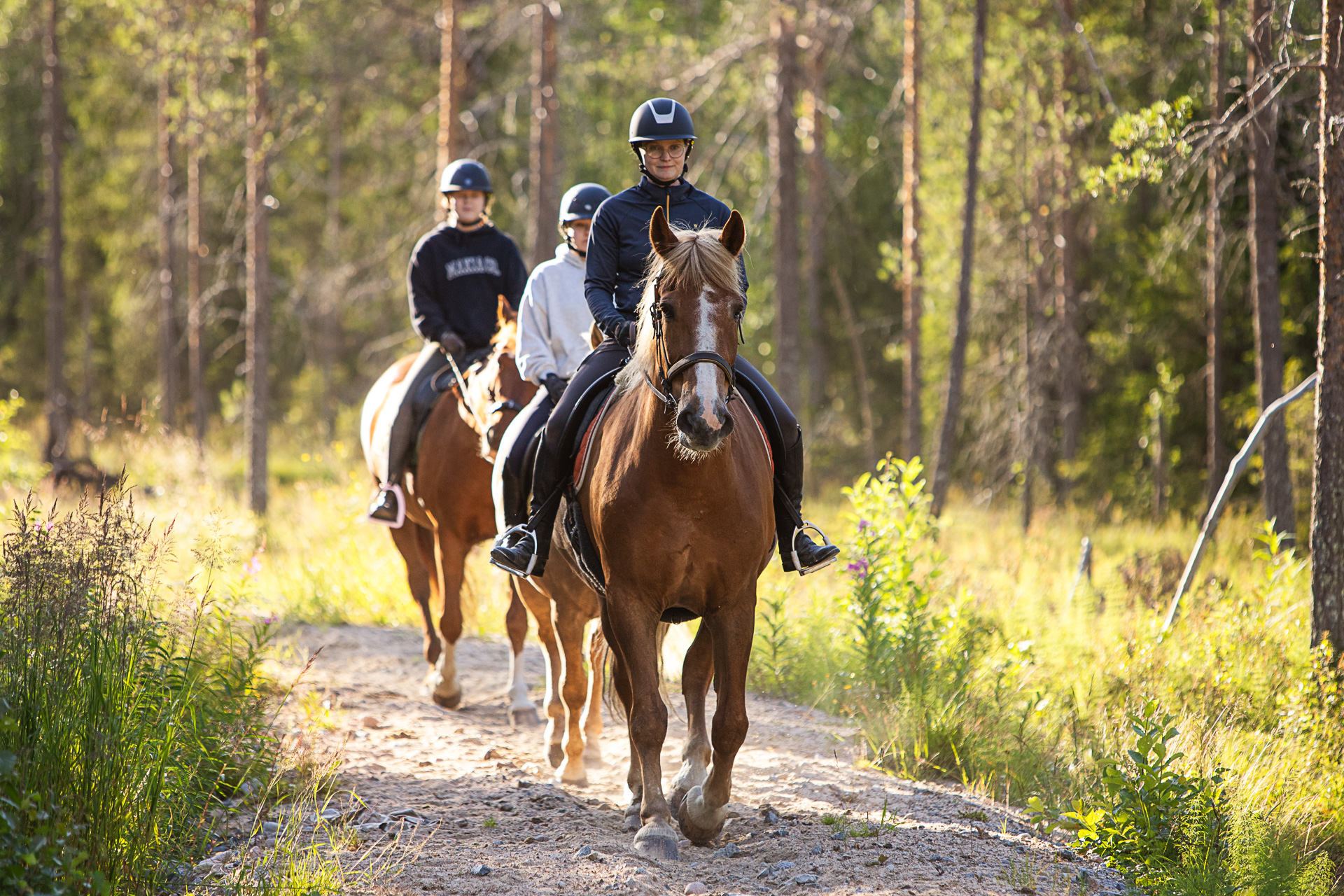 Maasto-ohjelma kokeneille suomenhevosilla Kuusamossa (2h)
