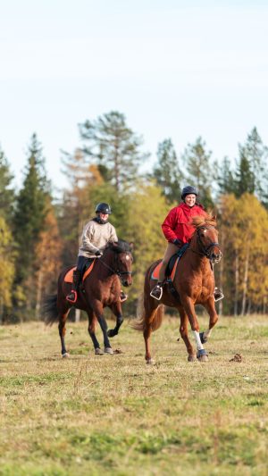 Kaksi iloista, nuorta naistaa laukkaa suomenhevosilla pellon halki ruskan väreissä näkyvän metsän jäädessä taustalle.
