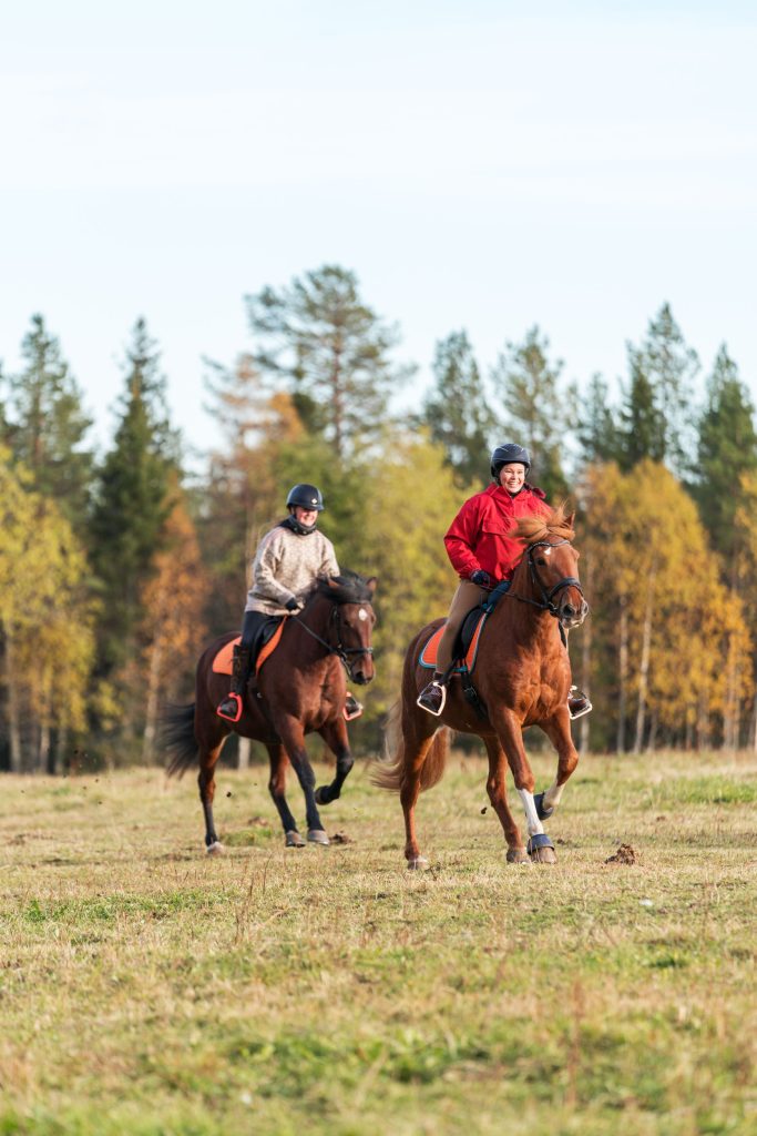 Maasto-ohjelma kokeneille suomenhevosilla Kuusamossa